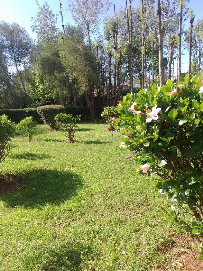 Wooden Knee Cottages Nanyuki Exterior photo