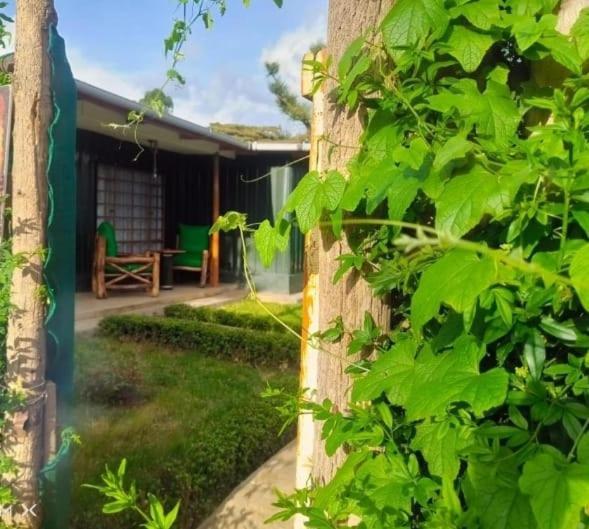 Wooden Knee Cottages Nanyuki Exterior photo